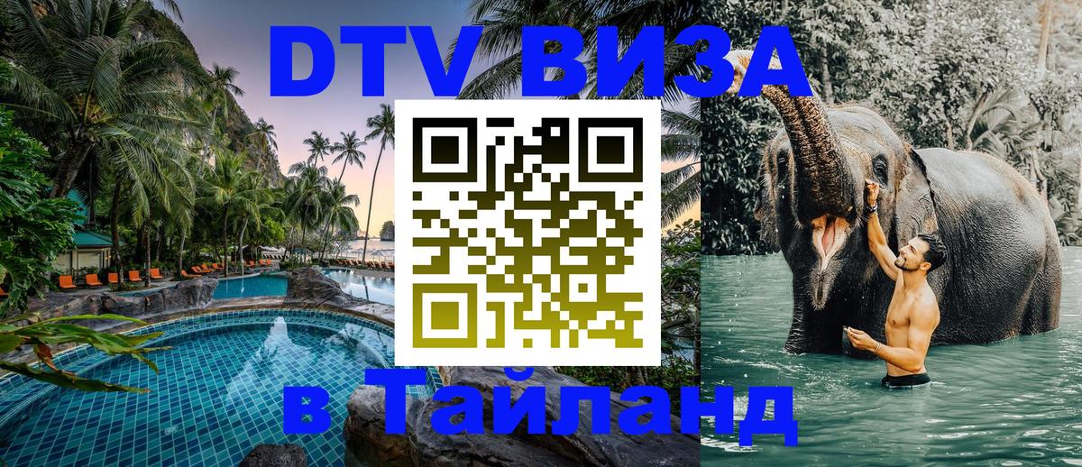 Оформление DTV визы под ключ: стоимость и тарифы, только загранпаспорт - 